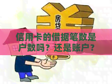 信用卡的借据笔数是户数吗？还是账户？