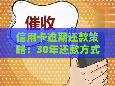 信用卡逾期还款策略：30年还款方式全面解析