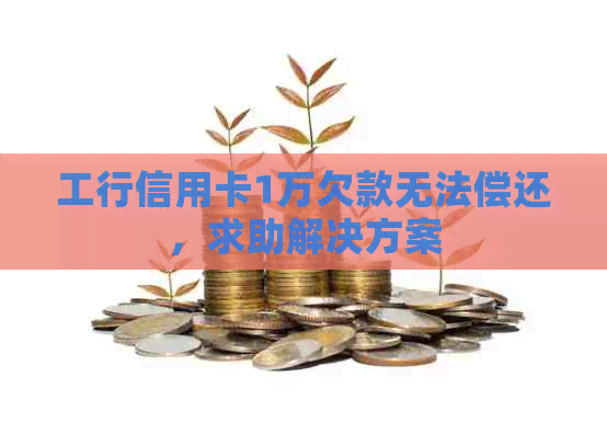 工行信用卡1万欠款无法偿还，求助解决方案