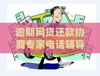 逾期网贷还款协商专家电话辅导服务