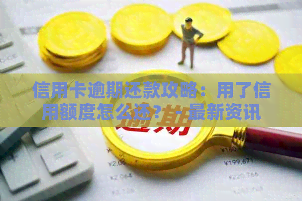 信用卡逾期还款攻略：用了信用额度怎么还？ - 最新资讯