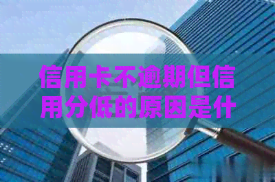 信用卡不逾期但信用分低的原因是什么？为什么额度会下降或办不下来？