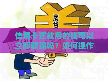 信用卡还款后的钱可以立即取现吗？如何操作？