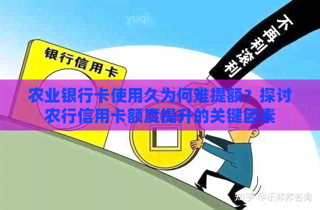 农业银行卡使用久为何难提额？探讨农行信用卡额度提升的关键因素