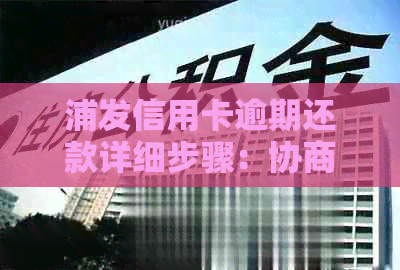 浦发信用卡逾期还款详细步骤：协商、详解、流程全解析