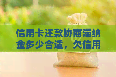 信用卡还款协商滞纳金多少合适，欠信用卡协商还款技巧。