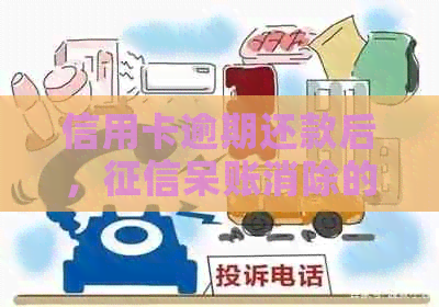 信用卡逾期还款后，呆账消除的时间探讨