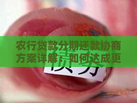 农行贷款分期还款协商方案详解：如何达成更优的还款条件