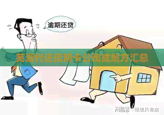 芜湖代还信用卡公司或地方汇总