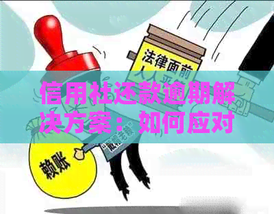 信用社还款逾期解决方案：如何应对、期申请与后果分析