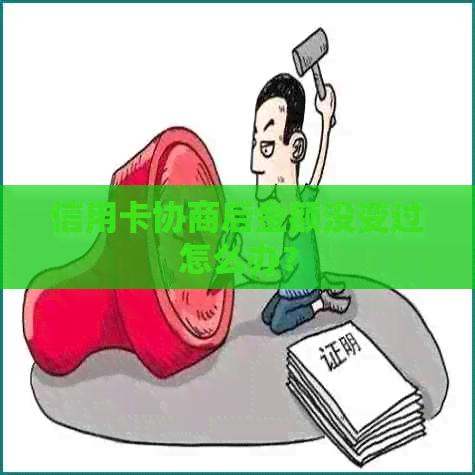 信用卡协商后金额没变过怎么办？