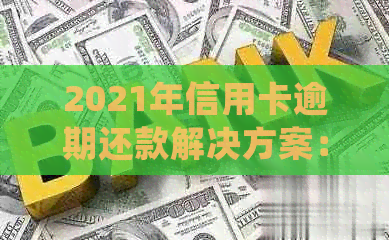 2021年信用卡逾期还款解决方案：停息挂账详细指南与影响分析