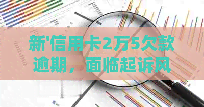 新'信用卡2万5欠款逾期，面临起诉风险，我该如何应对？'