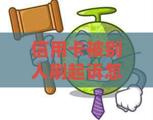 信用卡被别人刷起诉怎么办：处理流程和应对策略