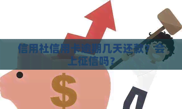 信用社信用卡逾期几天还款？会上吗？