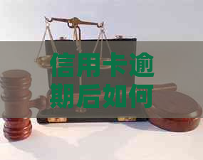 信用卡逾期后如何协商本金还款？注意事项有哪些？