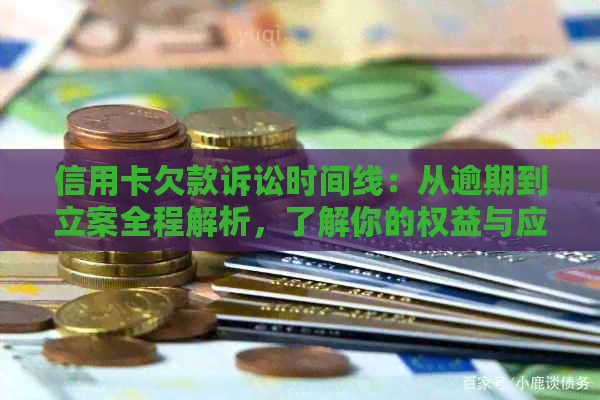 信用卡欠款诉讼时间线：从逾期到立案全程解析，了解你的权益与应对策略