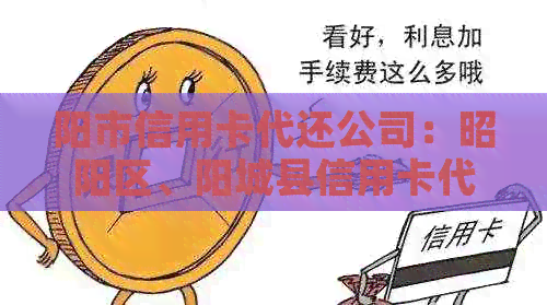 阳市信用卡代还公司：昭阳区、阳城县信用卡代还服务