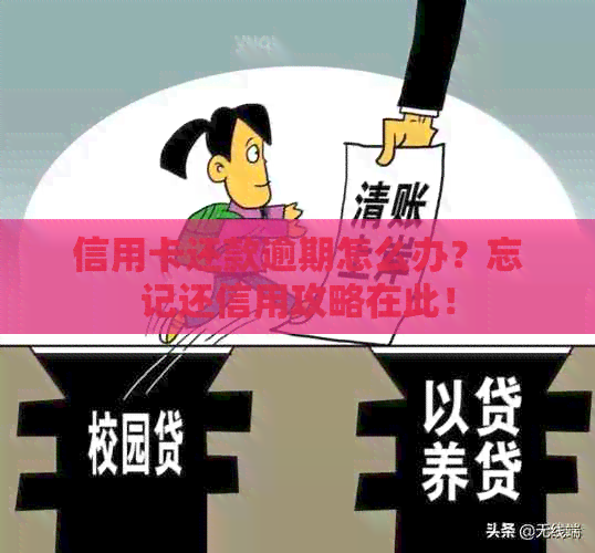 信用卡还款逾期怎么办？忘记还信用攻略在此！