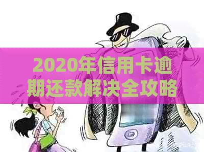 2020年信用卡逾期还款解决全攻略：停息挂账申请步骤与注意事项