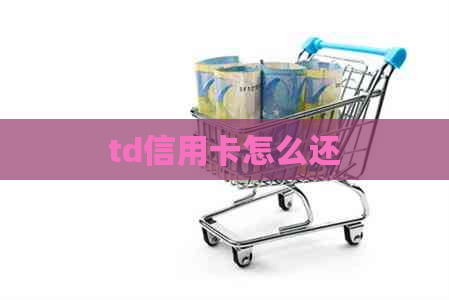 td信用卡怎么还