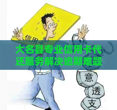 大名县专业信用卡代还服务解决逾期难题，轻松还款无忧！