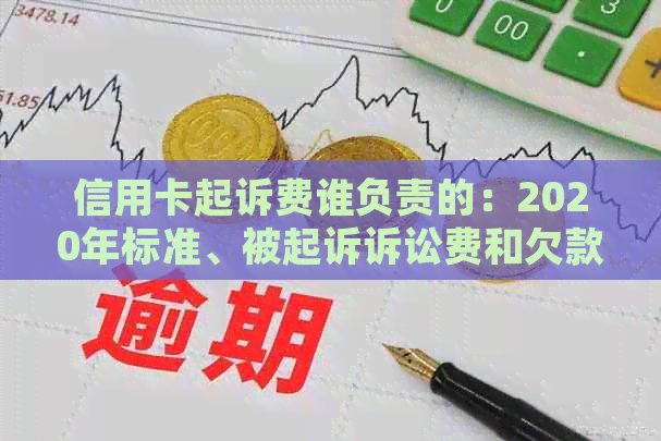 信用卡起诉费谁负责的：2020年标准、被起诉诉讼费和欠款关系解析