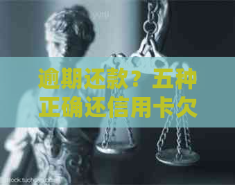 逾期还款？五种正确还信用卡欠款的方法，让你信用无负担！
