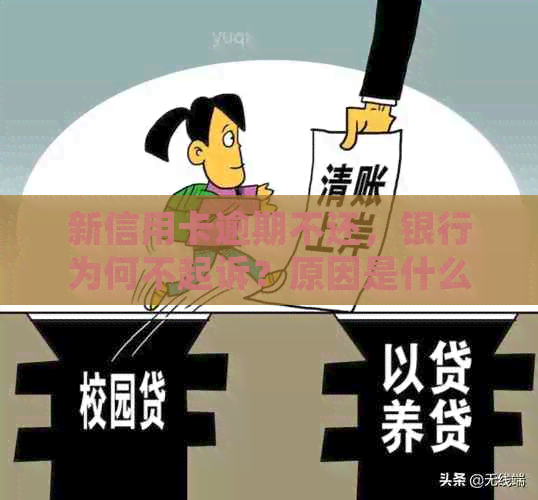 新信用卡逾期不还，银行为何不起诉？原因是什么？