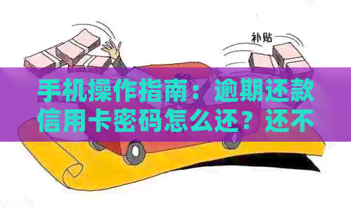 手机操作指南：逾期还款信用卡密码怎么还？还不上怎么办？