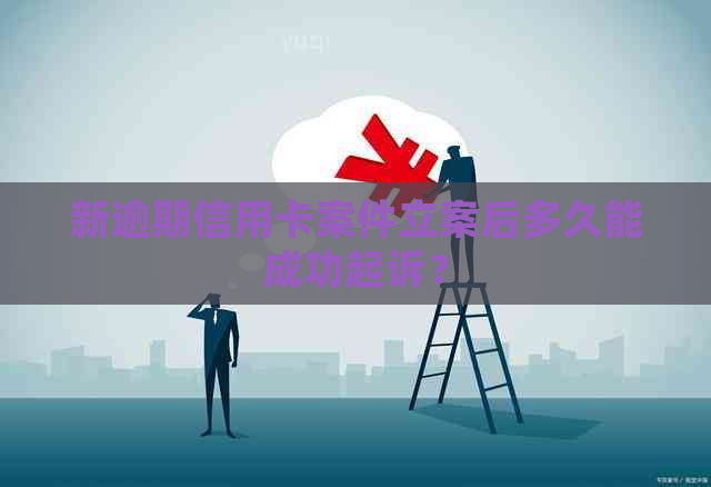 新逾期信用卡案件立案后多久能成功起诉？