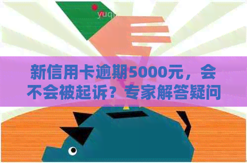 新信用卡逾期5000元，会不会被起诉？专家解答疑问