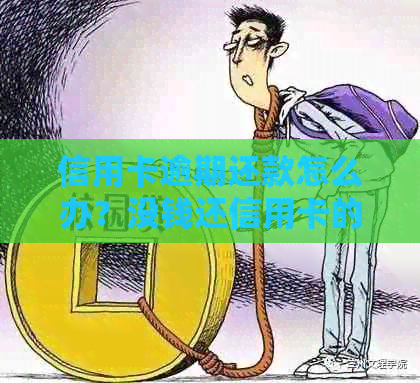 信用卡逾期还款怎么办？没钱还信用卡的解决方法和建议！