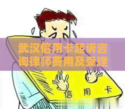 武汉信用卡起诉咨询律师费用及受理时间