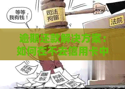 逾期还款解决方案：如何在不去信用卡中心的情况下进行协商