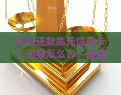 如何还款美元信用卡？逾期怎么办？最新资讯解析