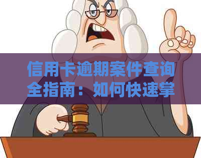 信用卡逾期案件查询全指南：如何快速掌握被起诉记录与处理方法