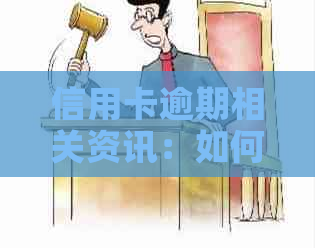 信用卡逾期相关资讯：如何查询起诉传票信息？