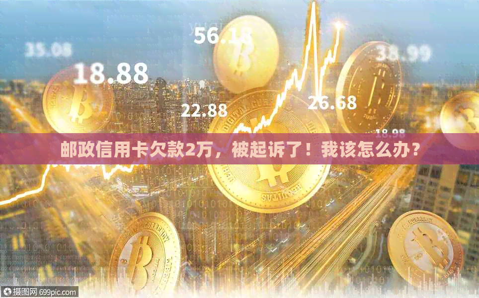 邮政信用卡欠款2万，被起诉了！我该怎么办？