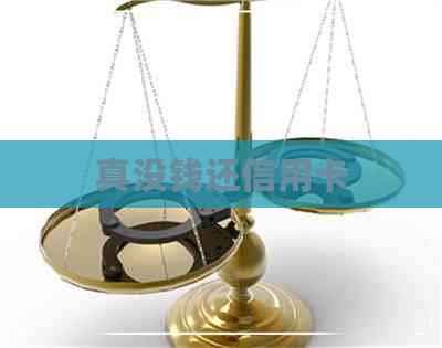 真没钱还信用卡