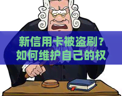 新信用卡被盗刷？如何维护自己的权益并起诉老公