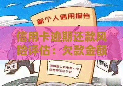 信用卡逾期还款风险评估：欠款金额、信用状况与起诉几率的关系分析