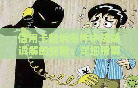 信用卡起诉案件中法院调解的结果：详细指南与策略