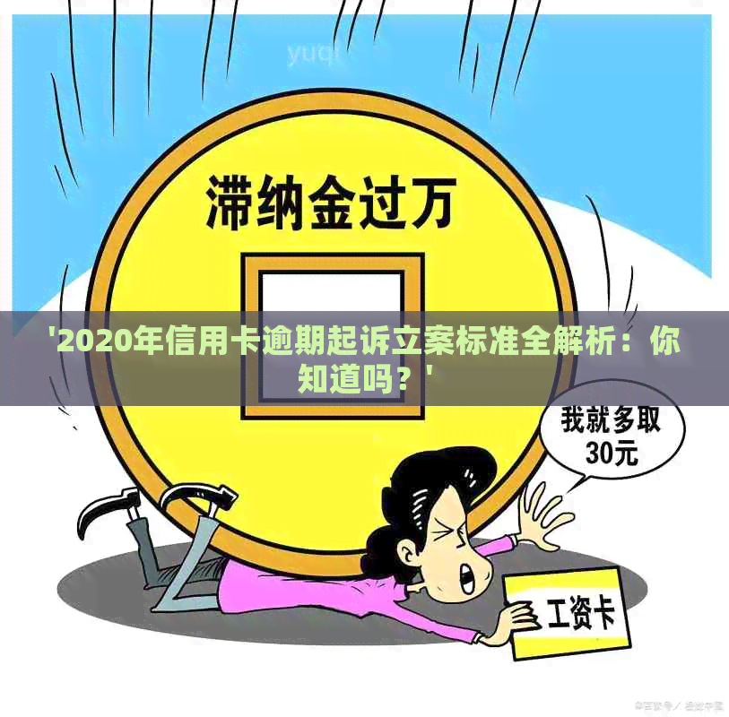 '2020年信用卡逾期起诉立案标准全解析：你知道吗？'