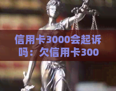 信用卡3000会起诉吗：欠信用卡3000块钱会被起诉吗，能立案吗，值得起诉吗？