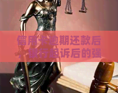 信用卡逾期还款后，银行起诉后的强制执行时间及相关法律问答