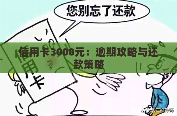 信用卡3000元：逾期攻略与还款策略