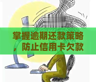 掌握逾期还款策略，防止信用卡欠款被银行起诉