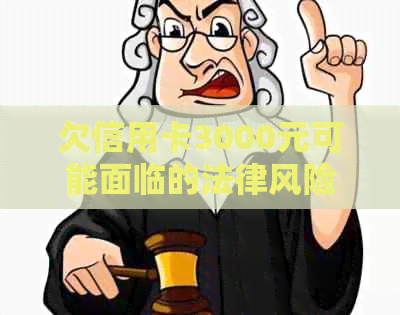 欠信用卡3000元可能面临的法律风险及应对策略，是否会被起诉？