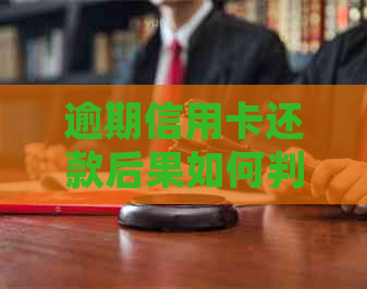 逾期信用卡还款后果如何判断？了解起诉标准与查询方法